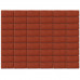 Тротуарная плитка Braer Прямоугольник красная 200х100х40 мм